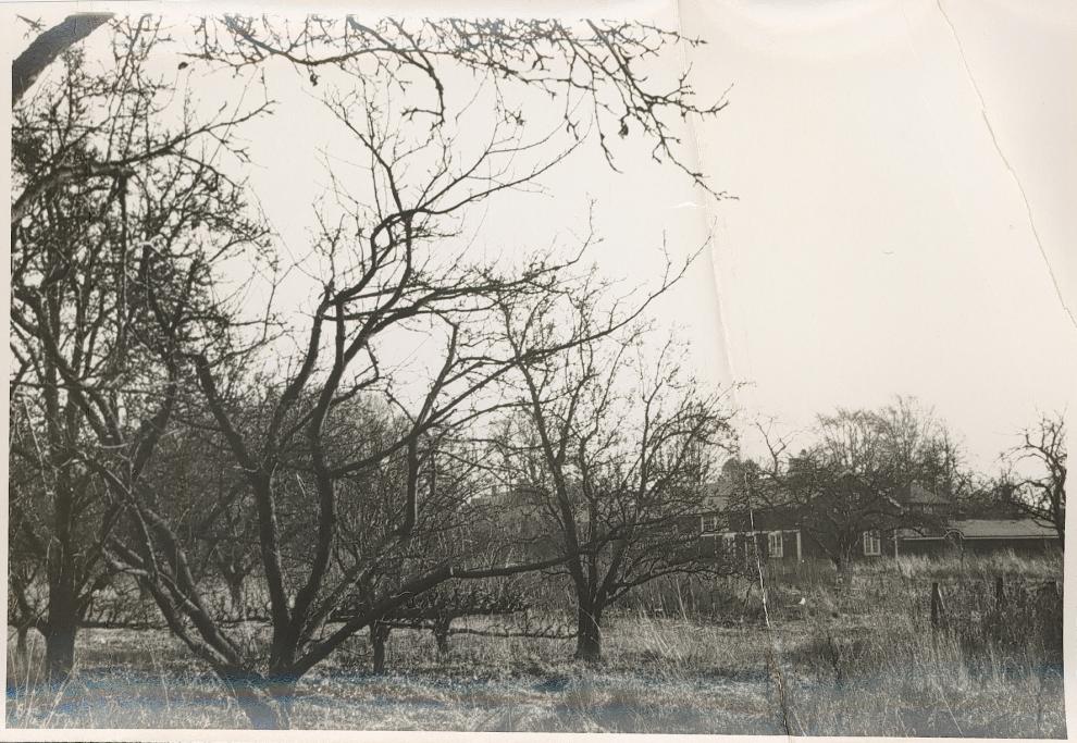 SKAANSKE HUSTYPER PRIVATLIV_L_36_ FOTO-01